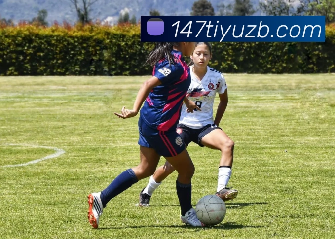 147体育直播APP 体育赛事宣传图